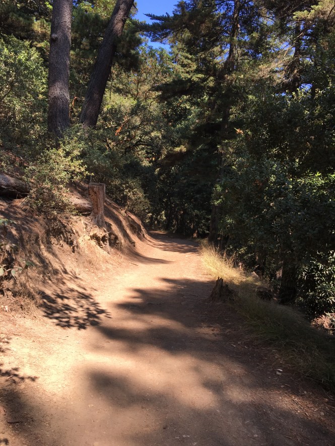 Running Trail Fall Light