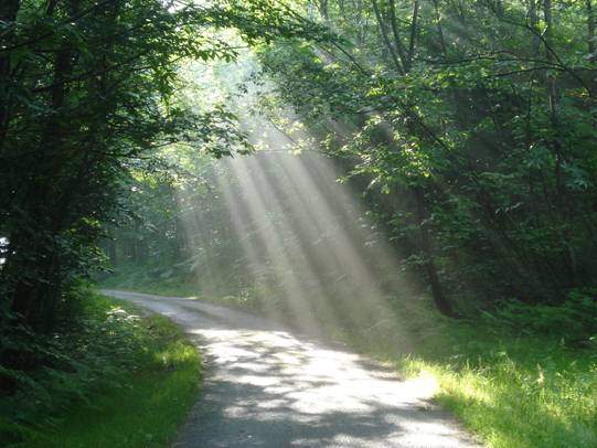 Inspire beautiful path