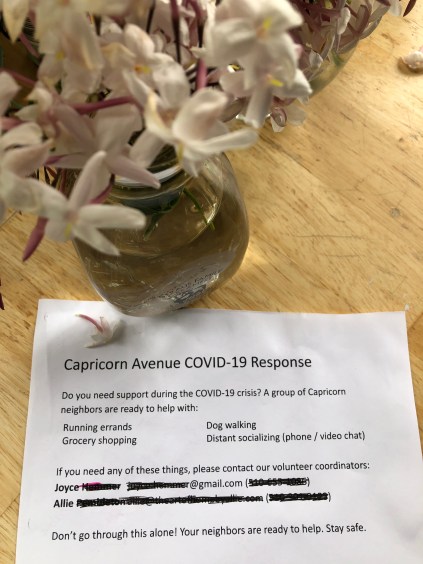 Capricorn Volunteers